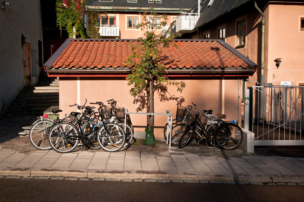 Bicycles parked next to tree in Uppsala, Sweden