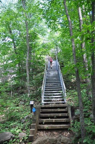 Stairway to Cliff Top Trail