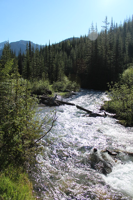 Wildhorse River