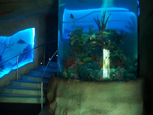 Aquarium Restaraunt 7-19-11