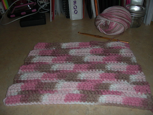 dish cloth I am working on now