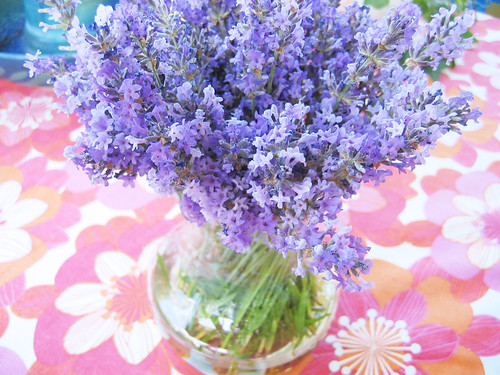 Lavender on the table