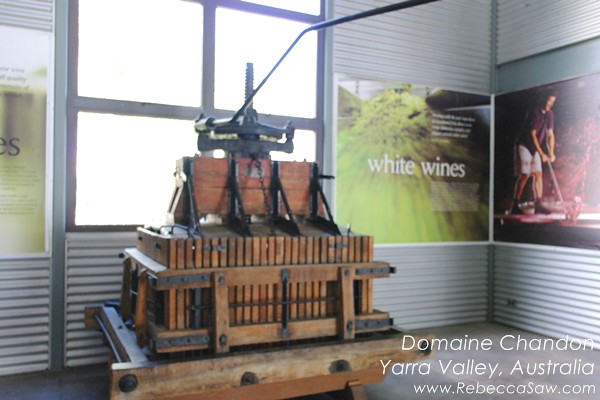 domaine chandon yarra valley australia (07)
