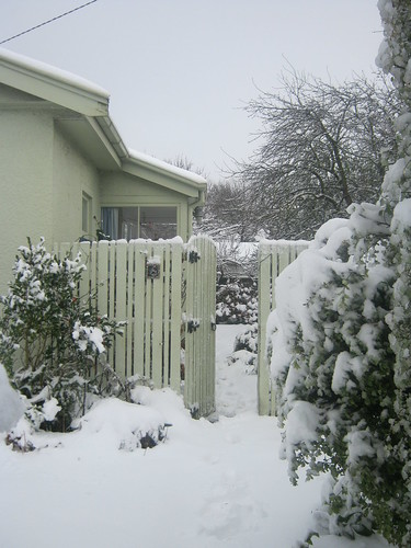 Garden gate, winter 2011 by Lynners59