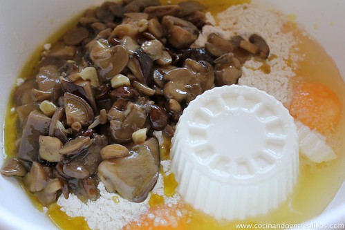 Pastel de hongos en canelón de queso gratinado (5)