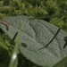 Life Nature You on Vimeo by Myles Thompson