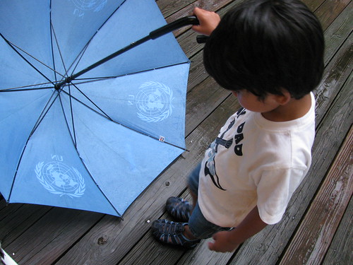 Looking Down on Umbrella
