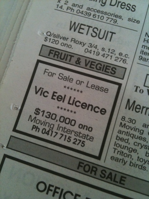 Licensed to Eel