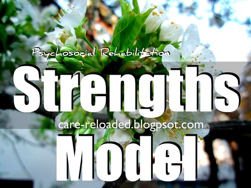Strengths Model - Personal Profile, Wilken and den Hollander, psychosocial rehabilitation, CARe, Personal assessment, psychiatric disorder