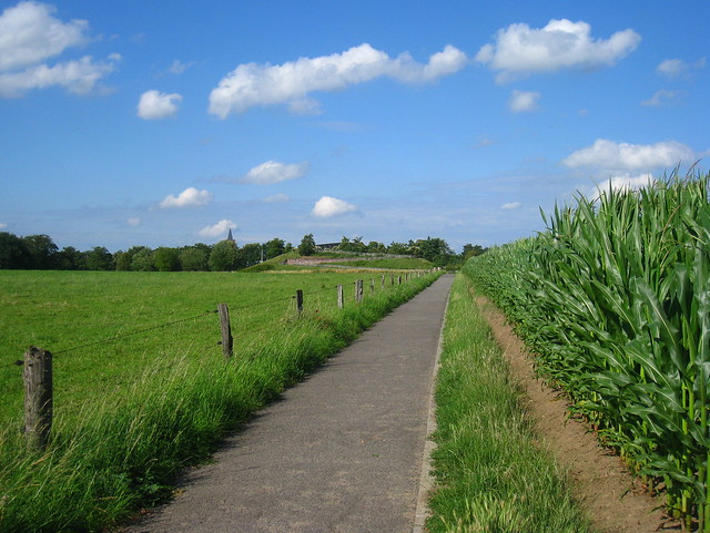 sentiero, Abdij van't Park, Heverlee (Leuven)