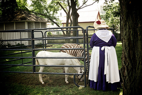 Zoar Ohio Harvest Festival 2011:  The lady and the zebra.