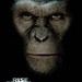 Rise of The Planet of The Apes