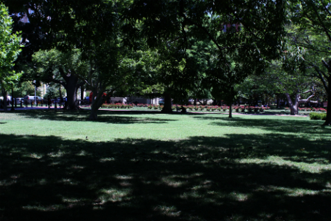 Lafayette Park July 14 2011