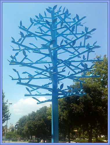 plavo stablo by XVII iz Splita