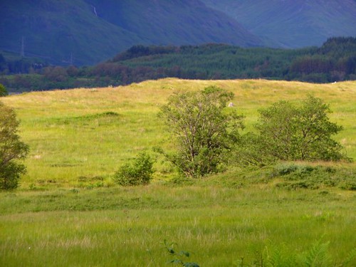 Summer in the Scotish Highlands by Ginas Pics