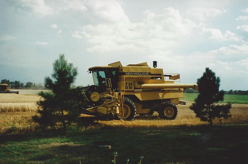 Home harvest in '01
