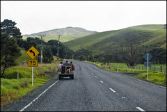 Driving on State Highway 1 to Cap Reinga
