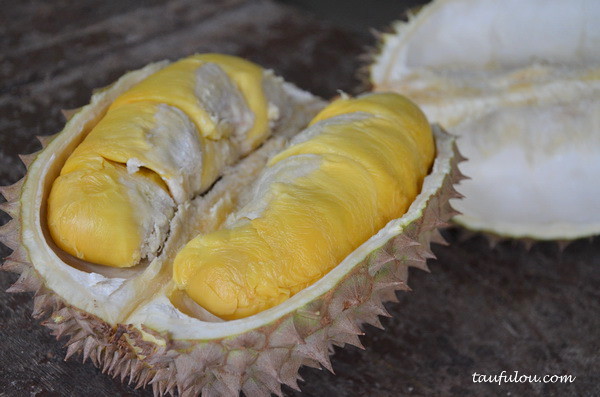 balik pulau durian (4)