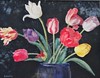 Favorite Tulips