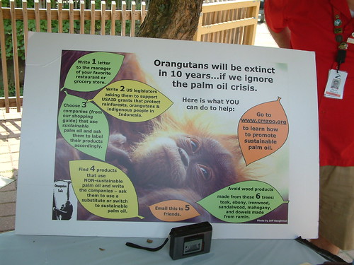 Help Save Orangutans. Thanks. by Sunshine Gorilla