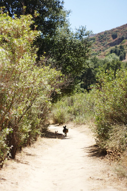 Rita and Roxy in Towsley Canyon