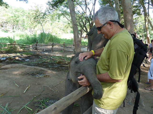 ¡TAILANDIA EN CHANCLETAS! - Blogs de Tailandia - Patara Elephant Farm (2)