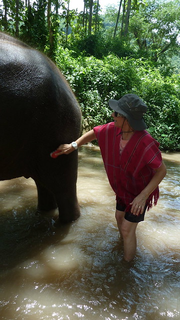 ¡TAILANDIA EN CHANCLETAS! - Blogs de Tailandia - Patara Elephant Farm (11)
