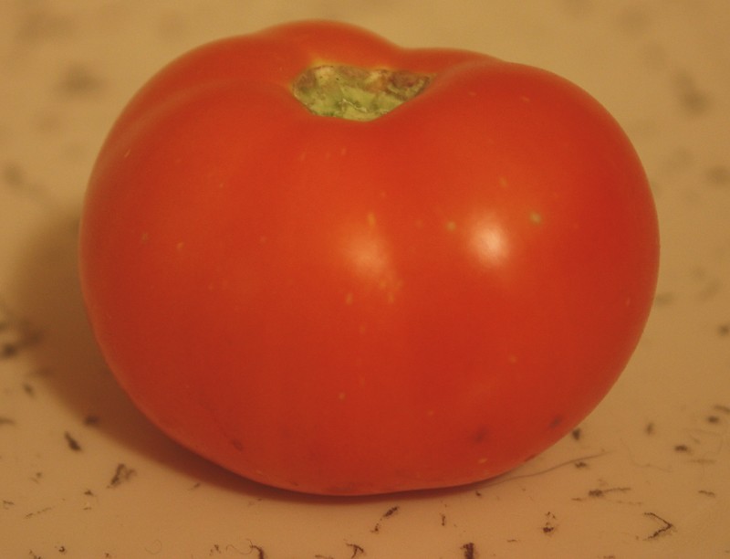 110731 First Tomato