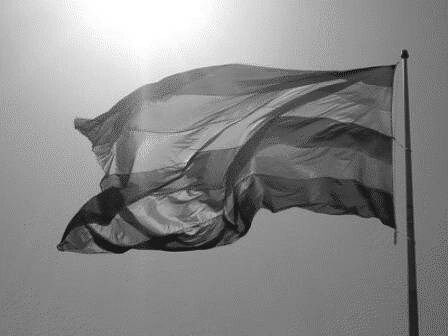 Bandeira do Orgulho Hétero