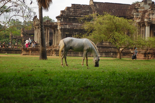 Angkor Sunrise 4