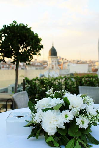 reception with a view @ hotel ada palace