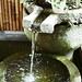 日式水池