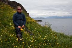 Irene takes a break in a field of buttercups, Island of Canna