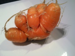 Silliest carrot so far