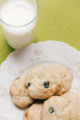blueberry-and-cream-cookies-03