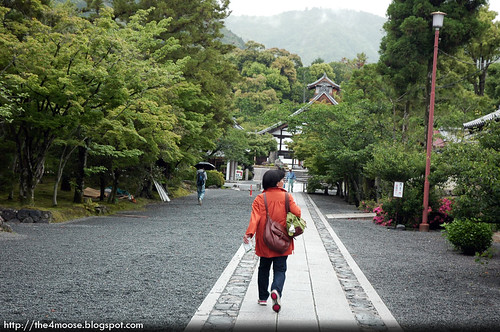 Tenryuji 天龍寺 - Pathway to Temple