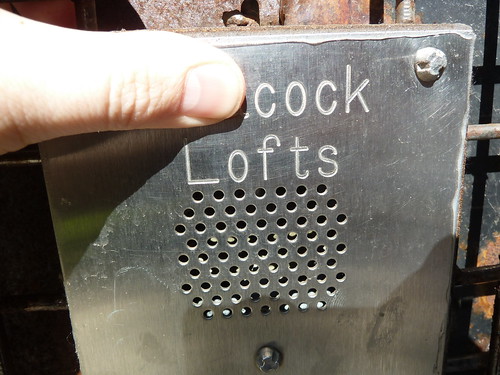 Cock Lofts