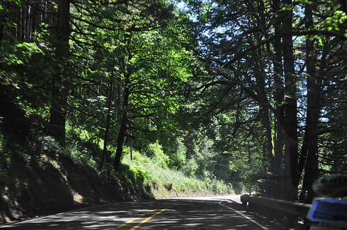 Driving West through Oregon