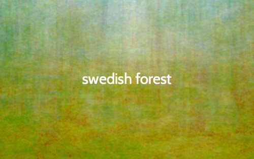 The color of... a Swedish forest