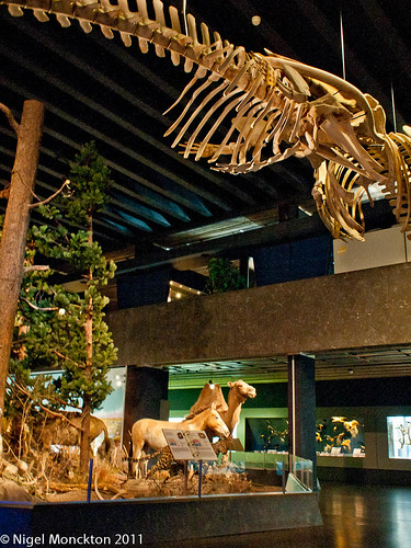 Natural History Museum, Geneva