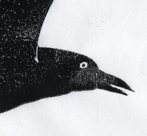 Crow detail