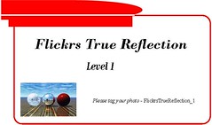 Flickrs True Reflection - Level 1 