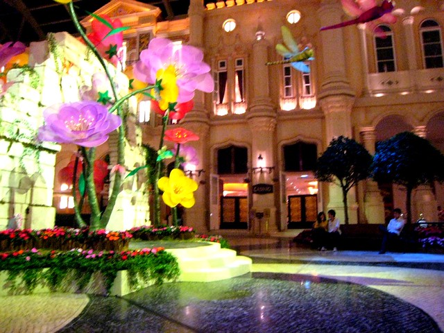 Macau Night Day 3 (11)