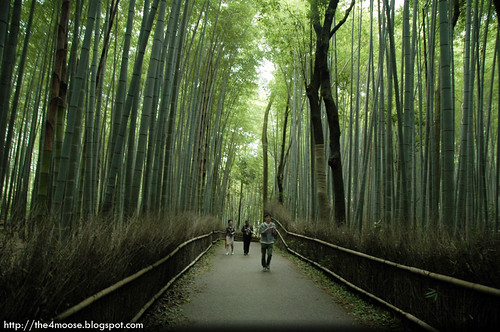 Arashiyama 嵐山 - Bamboo Groves