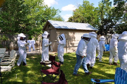 Donning of bee suits