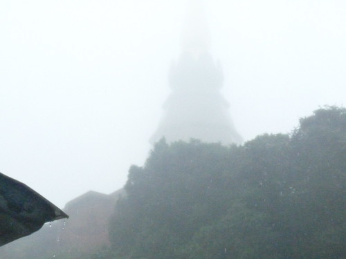 Viaje a Tailandia de 15 días - Blogs de Tailandia - La selva y las mejores cascadas de Chiang Mai (Día 3) (4)