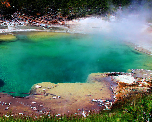 8x10 Emerald Pool Norris Geyser Basin Yellowstone IMG_2069
