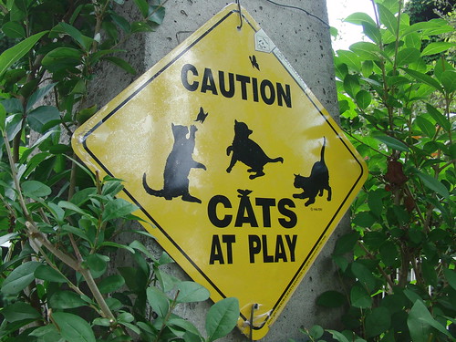 Cartel: "Caution. Cats at play"
