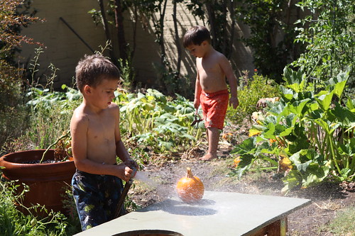 Washing pumpkins