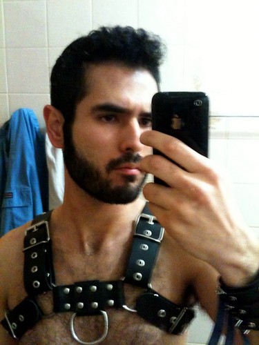 Leather Harness by G.E.D.I.S.
